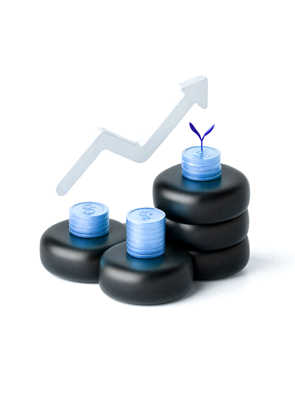 Long-term capital appreciation focus